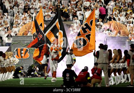 Cincinnati, États-Unis. 16 octobre 2025. Les Bengals de Cincinnati courent sur le terrain avant le début de leur match contre les Steelers de Pittsburgh au Paycor Stadium le jeudi 16 octobre 2025 à Cincinnati. Ohio photo par John Sommers II/UPI crédit : UPI/Alamy Live News Banque D'Images