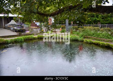L'ancien village d'Oshino Hakkai dans le district de Minamitsuru, préfecture de Yamanashi, Japon. Banque D'Images