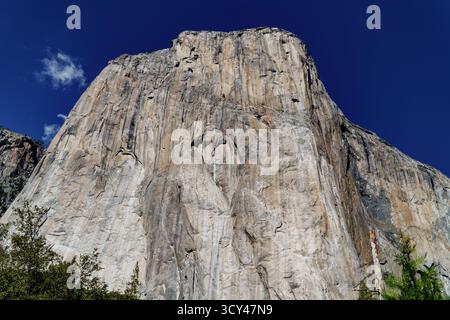 La face granitique massive d'El Capitan s'élève de façon spectaculaire contre un ciel bleu clair et profond dans le parc national de Yosemite. Banque D'Images