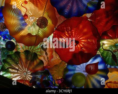 SEATTLE - APR 25, 2025 - des œuvres d'art en verre soufflé coloré avec des dessins complexes et des couleurs vibrantes suspendues au plafond, créant un art captivant et captivant Banque D'Images