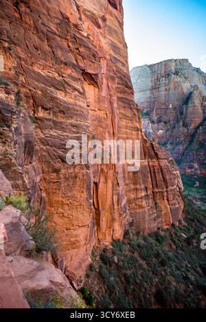 De hautes falaises de grès le long du West Rim Trail jusqu'à Angels Landing dans le parc national de Zion, Utah Banque D'Images