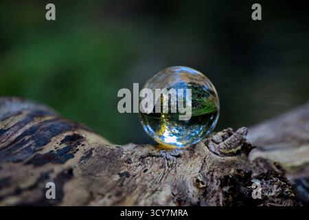 Boule de cristal sur un arbre tombé montre une scène de forêt inversée avec un ruisseau et un feuillage, photographiée avec une faible profondeur de champ en lumière naturelle. Banque D'Images