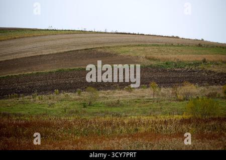 Une vue panoramique d'un paysage rural avec une colline avec des champs agricoles et une végétation naturelle sous un ciel lumineux, scène de campagne. Banque D'Images