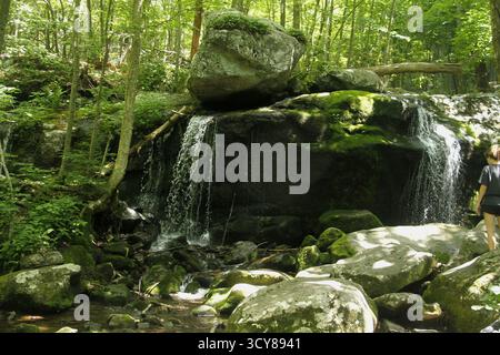 Cascade le long de Cornelius Creek dans les Blue Ridge Mountains, va, USA Banque D'Images