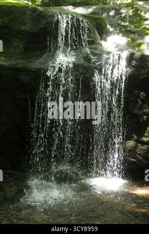 Cascade le long de Cornelius Creek dans les Blue Ridge Mountains, va, USA Banque D'Images