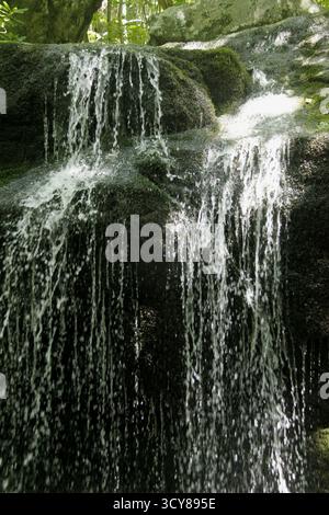 Cascade le long de Cornelius Creek dans les Blue Ridge Mountains, va, USA Banque D'Images