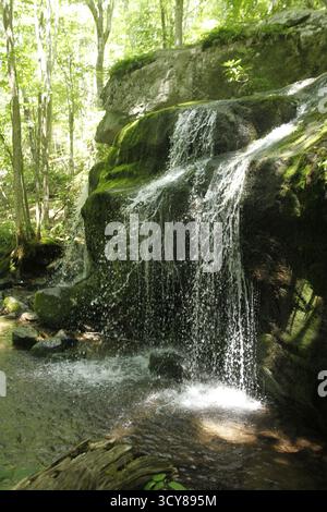 Cascade le long de Cornelius Creek dans les Blue Ridge Mountains, va, USA Banque D'Images