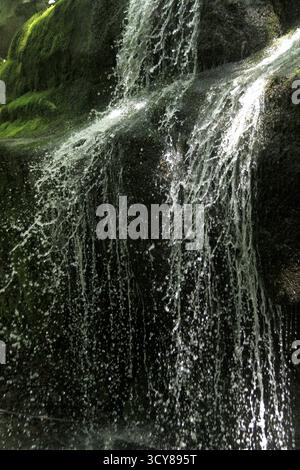 Cascade le long de Cornelius Creek dans les Blue Ridge Mountains, va, USA Banque D'Images