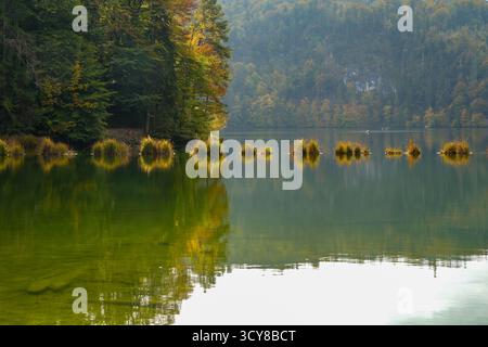 Vue du Hechtsee avec îlots d'herbe illuminés par le soleil. Ambiance automnale dans le Brandenberger Alpen près de Kufstein in Tirol, Österreich Banque D'Images
