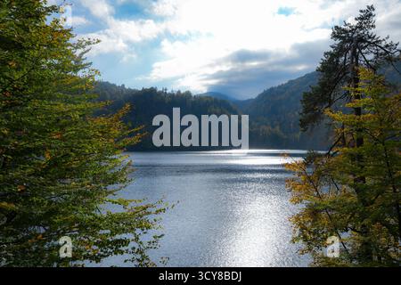 Vue sur le Hechtsee, Un lac de baignade populaire dans le Brandenberger Alpen près de Kufstein in Tirol, Österreich. Ambiance automnale et arbres colorés Banque D'Images