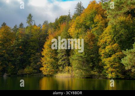 Ambiance automnale et arbres colorés à Hechtsee, Un lac de baignade populaire dans le Brandenberger Alpen près de Kufstein dans le Tyrol, Österreich Banque D'Images