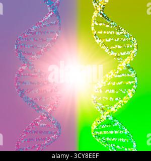 Mirror Life, illustration conceptuelle. Beaucoup de biomolécules sont chirales, c'est-à-dire qu'elles peuvent exister sous deux formes miroirs analogues à des versions droitières et gauches. Une seule des formes se retrouvera dans la nature. Par exemple, l'ADN est droitier et les protéines gaucher. Il doit être possible de réaliser des cellules, dites cellules miroirs, entièrement à partir de molécules d'image miroir. Cependant, cela a été mis en garde contre, car les systèmes immunitaires, les médicaments et les antimicrobiens ne fonctionneraient pas contre les cellules miroirs et ils pourraient se propager sans contrôle. Banque D'Images