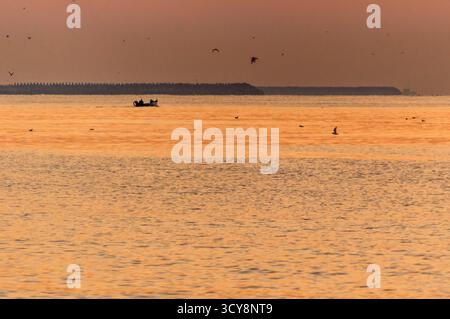 Bateau silhouette et oiseaux sur la mer dorée au coucher du soleil en Roumanie. Une scène tranquille mêlant nature, lumière et présence humaine. Banque D'Images
