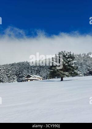 Paisaje nevado en la sierra de guadarrama en Madrid Banque D'Images