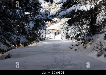 Paisaje nevado en la sierra de guadarrama en Madrid Banque D'Images