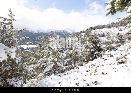 Paisaje nevado en la sierra de guadarrama en Madrid Banque D'Images