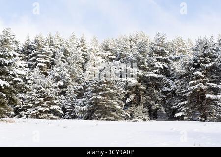 Paisaje nevado en la sierra de guadarrama en Madrid Banque D'Images
