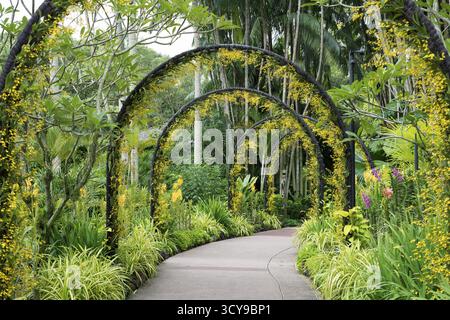 Arcs artificiels pittoresques avec de nombreuses fleurs d'orchidées jaunes dans le célèbre jardin botanique de Singapour Banque D'Images