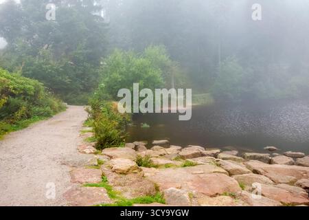 Paysage brumeux autour du Mummelsee, un petit lac à flanc de montagne ouest de la Hornisgrinde dans le nord de la Forêt Noire en Allemagne Banque D'Images