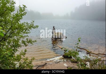 Paysage brumeux autour du Mummelsee, un petit lac à flanc de montagne ouest de la Hornisgrinde dans le nord de la Forêt Noire en Allemagne Banque D'Images