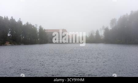 Paysage brumeux autour du Mummelsee, un petit lac à flanc de montagne ouest de la Hornisgrinde dans le nord de la Forêt Noire en Allemagne Banque D'Images