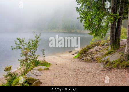 Paysage brumeux autour du Mummelsee, un petit lac à flanc de montagne ouest de la Hornisgrinde dans le nord de la Forêt Noire en Allemagne Banque D'Images