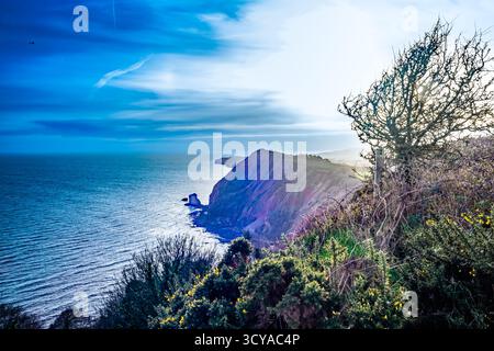 Baie Sidmouth. Banque D'Images