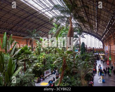 Jardin tropical de la estación de Atocha. Madrid. España Banque D'Images