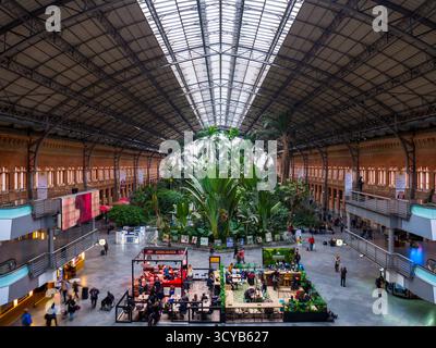 Jardin tropical de la estación de Atocha. Madrid. España Banque D'Images