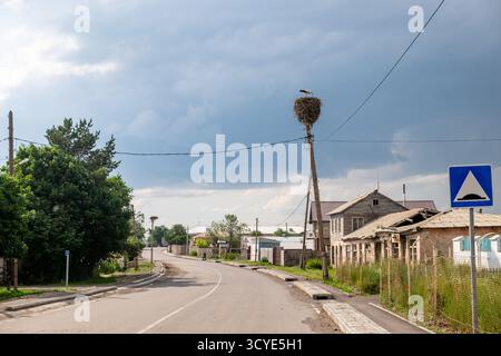 Grand nid de cigogne avec oiseau sur le dessus du poteau utilitaire par une route de village rural à Javakheti près du lac Paravani. Lac Paravani, Javakheti, Géorgie. 18 juillet Banque D'Images