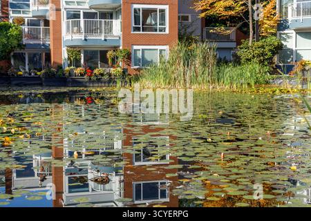 Vancouver, Canada - Oct 6,2025 : Lagoons Condos maisons de ville en bord de mer au 1551 Mariner Walk avec des arbres d'automne reflétés dans un étang avec des nénuphars Banque D'Images