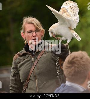 Falknerei Herrmann Plauen Greifvögel hautnah erleben Majestätisch kreisen Adler über dem Gelände am Stadtrand von Plauen, Falken Jagdflügen in rasanten stürzen herab, und Eulen gleiten lautlos über die Köpfe der Besucher die Falknerei Herrmann in Plauen bietet ein eindrucksvolles Naturerlebnis für die ganze Familie. In rund 70-minütigen Flugvorführungen erfahren Gäste Spannendes über die Geschichte und Gegenwart der Falknerei. Neben täglichen montre außer montags und freitags gibt es mobile Vorführungen, ein Grünes Klassenzimmer für Schulklassen, Fotomöglichkeiten mit den Tieren sowie Barrieref Banque D'Images