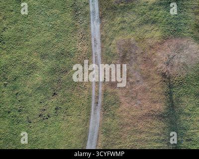 La route coupe un champ d'herbe. La route est étroite et a une surface de terre. L'herbe est verte et luxuriante, et le ciel est dégagé Banque D'Images