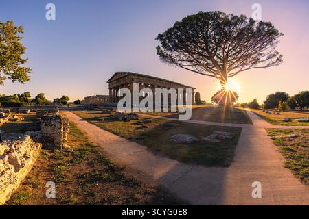 La lumière dorée du soir baigne les anciens temples grecs de Poséidon et Hera à Paestum, Campanie, Italie. Les tons chauds du coucher de soleil soulignent le Dor Banque D'Images