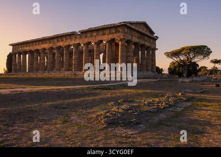 La lumière dorée du soir baigne les anciens temples grecs de Poséidon et Hera à Paestum, Campanie, Italie. Les tons chauds du coucher de soleil soulignent le Dor Banque D'Images
