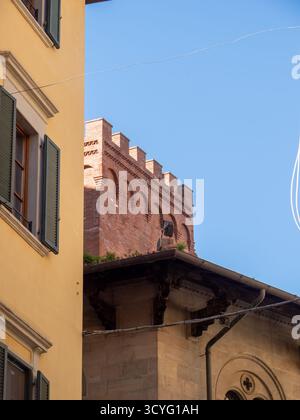Pise, Italie - 16 octobre 2025 Pise détails architecturaux montrant la tour médiévale, l'ancien bâtiment en pierre, et la façade jaune traditionnelle avec sh vert Banque D'Images