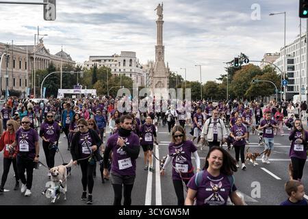 Madrid, Espagne. 19 octobre 2025. Les coureurs avec leurs animaux de compagnie participent au Perrotón Madrid 2025, le 19 octobre 2025, à Madrid (Espagne). Le Perrotón est une course solidaire qui vise à sensibiliser à l’adoption et à la propriété responsable des animaux de compagnie et contre l’abandon et la maltraitance des animaux. Pendant l'événement, les participants courent une distance d'environ 4,5 kilomètres avec leurs chiens. Photo Diego Radamés/Europa Press/ABACAPRESS.COM crédit : Abaca Press/Alamy Live News Banque D'Images