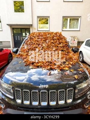 Automne dans la ville, voiture garée sous un arbre à feuilles caduques, chêne marécageux, sol et véhicule couverts de feuilles mortes, Essen, Rhénanie du Nord-Westphalie, Banque D'Images