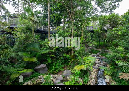 Promenade surélevée et itinéraire de randonnée en contrebas. Offrant aux visiteurs un sentiment d'aventure à Rainforest Wild Asia, Mandai Wildlife Reserve, Singapour Banque D'Images