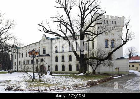 Le palais des Habsbourg à Żywiec, Zywiec, Polska, Beskidy, Cieszyn Silesia, voyage, architecture, photo Kazimierz Jurewicz, Banque D'Images
