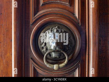 Gros plan d'un frappeur de porte en forme de lion sur une porte en bois. La métallurgie ornée et les textures riches évoquent l'élégance classique et le patrimoine architectural. Banque D'Images