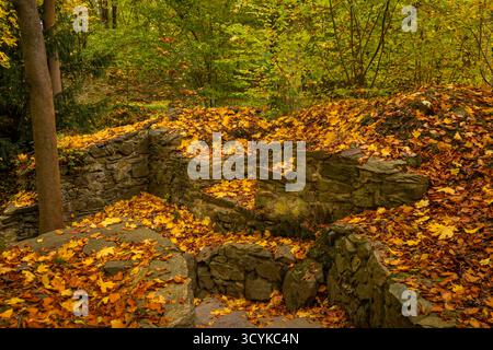Klosterpark Altzella im Herbst Das Kloster Altzella ist eine ehemalige Zisterzienserabtei westlich der Stadt Nossen. IM Mittelalter gehörte es zu den bedeutendsten Klöstern des mitteldeutschen Raums. DAS Kloster wurde infolge der Reformation aufgelös, die Anlage ist mit ihrer teilweise noch gut erhaltenen Mauer inzwischen eine Mischung aus romantischem Park mit Ruinen und renovierten Gebäuden. Die reste des Klosters stehen seit den 1970er Jahren unter Denkmalsschutz. Nossen Sachsen Deutschland *** Parc du monastère d'Altzella en automne le monastère d'Altzella est une ancienne abbaye cistercienne à l'ouest de la remorque Banque D'Images