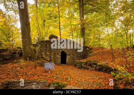 Klosterpark Altzella im Herbst Das Kloster Altzella ist eine ehemalige Zisterzienserabtei westlich der Stadt Nossen. IM Mittelalter gehörte es zu den bedeutendsten Klöstern des mitteldeutschen Raums. DAS Kloster wurde infolge der Reformation aufgelös, die Anlage ist mit ihrer teilweise noch gut erhaltenen Mauer inzwischen eine Mischung aus romantischem Park mit Ruinen und renovierten Gebäuden. Die reste des Klosters stehen seit den 1970er Jahren unter Denkmalsschutz. Nossen Sachsen Deutschland *** Parc du monastère d'Altzella en automne le monastère d'Altzella est une ancienne abbaye cistercienne à l'ouest de la remorque Banque D'Images
