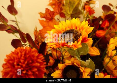 Présentation de fleurs automnales Banque D'Images