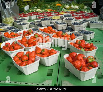 Des fraises, des bleuets et des framboises frais exposés dans des bols à un étal de marché de la ville lors d'un marché de producteurs hebdomadaire. Banque D'Images