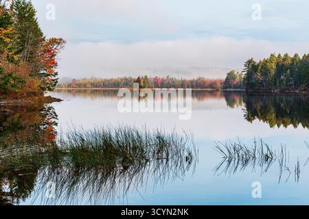 La brume douce du matin dérive à travers Knight Pond, reflétant les couleurs de la forêt d'automne près de Northport, Maine, États-Unis. Banque D'Images