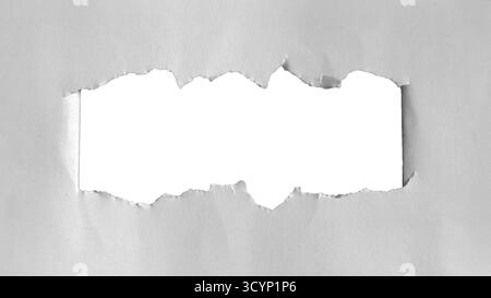 Papier gris clair horizontal, révélant un espace blanc lisse au centre. Bords le papier déchiré est rugueux et naturellement iré. Morceaux de papier décollés Banque D'Images