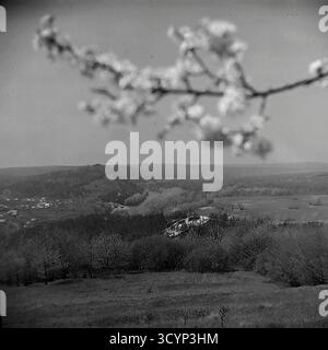 Cette photo d'archive des années 1970 montre une vue imprenable en grand angle de la vallée de la rivière Siverskyi Donets près de Sydorove, oblast de Donetsk, RSS d'Ukraine. Prise au printemps, la photo est encadrée par une branche fleurie à flou doux. Le panorama donne sur la rivière sinueuse, les forêts et les collines ondulantes. Une partie du village est visible sur la gauche. Cette image capture la vaste beauté naturelle de la région, un document du Donbass paisible Banque D'Images