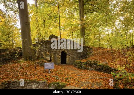 L'abbaye d'Altzella est une ancienne abbaye cistercienne à l'ouest de la ville de Nossen. Au moyen âge, il était l'un des monastères les plus importants de Central Ge Banque D'Images