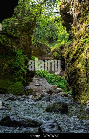 Moss drapait le canyon islandais avec un ruisseau sur des roches de basalte sombres Banque D'Images